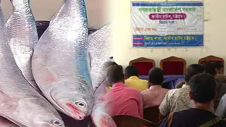 রপ্তানির দেড় কোটি টাকার মাছ ২৯ লাখে বিক্রি